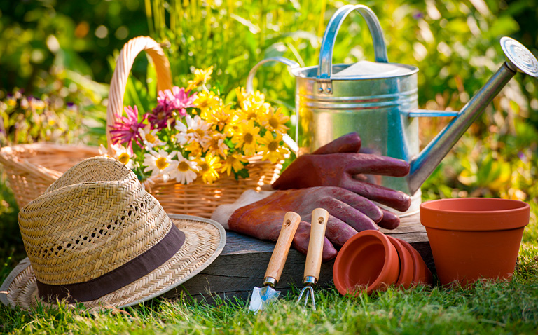 Explora los beneficios de tener un jardín en casa con estos consejos