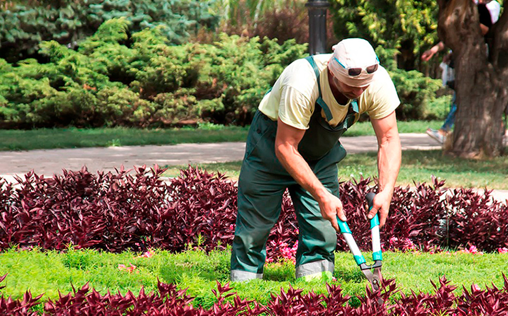 Externalización del servicio: eficiencia y especialización