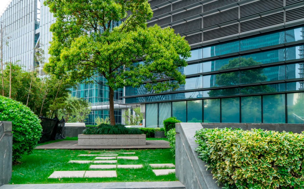 Impacto en la salud laboral y bienestar