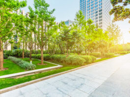 Mantenimiento de jardines para empresas: Innovación en el mantenimiento de zonas verdes