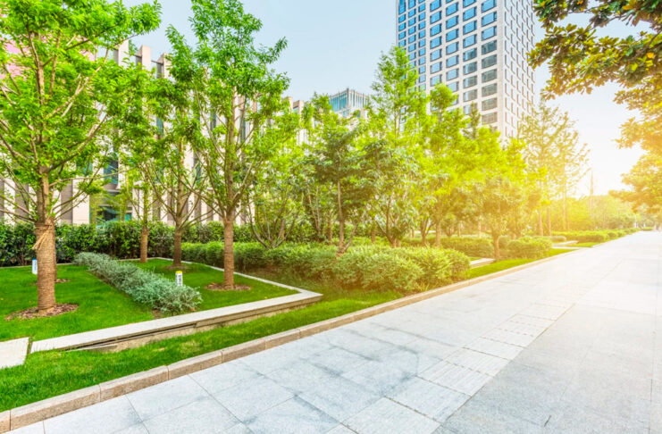 Mantenimiento de jardines para empresas: Innovación en el mantenimiento de zonas verdes