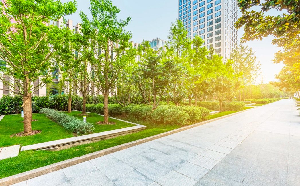Mantenimiento de jardines para empresas: Innovación en el mantenimiento de zonas verdes
